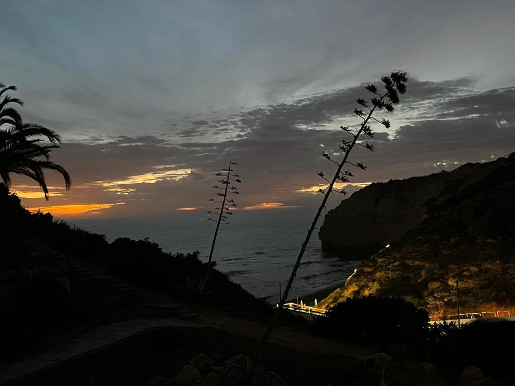 Appartement Bohemian Rhapsody Sea View à Carvoeiro  Extérieur photo