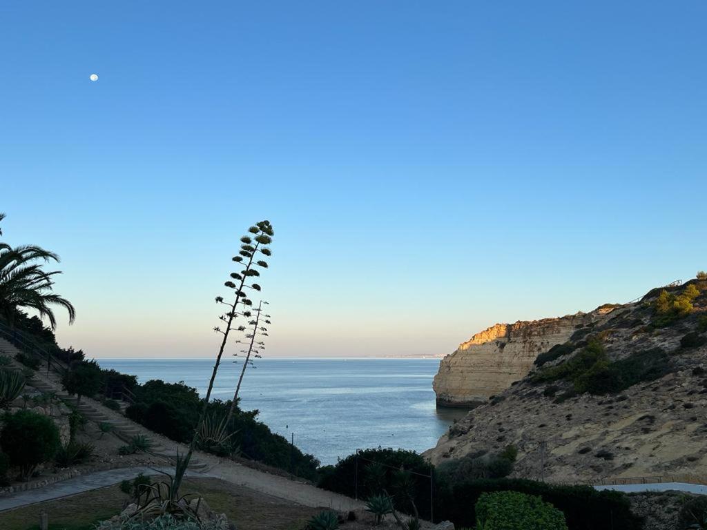 Appartement Bohemian Rhapsody Sea View à Carvoeiro  Extérieur photo